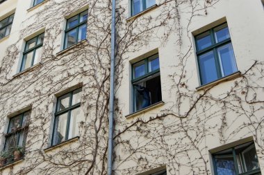 The Hackesche Höfe, Berlin