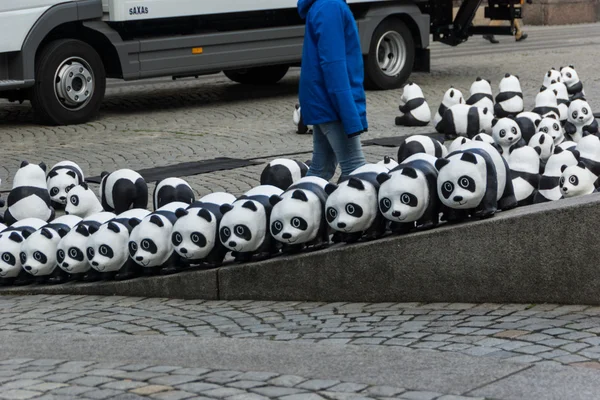 Panda a Kiel — Foto Stock