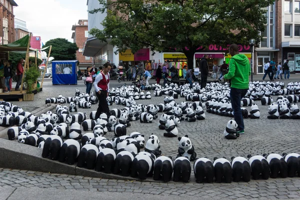 Pandas en Kiel — Foto de Stock