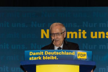 Rainer bruederle, fdp için öncü aday