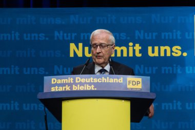 Rainer bruederle, fdp için öncü aday