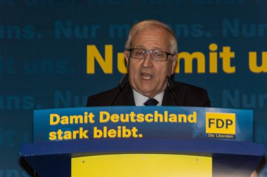 Rainer bruederle, fdp için öncü aday