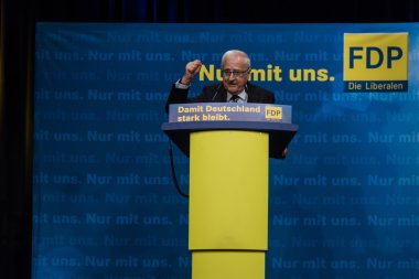 Rainer bruederle, fdp için öncü aday
