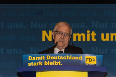 Rainer bruederle, fdp için öncü aday