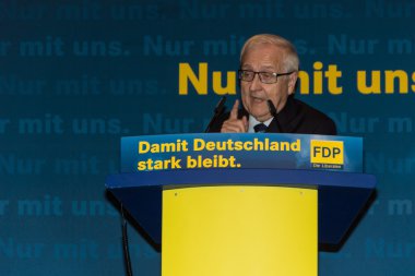 Rainer bruederle, fdp için öncü aday