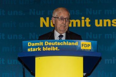 Rainer bruederle, fdp için öncü aday