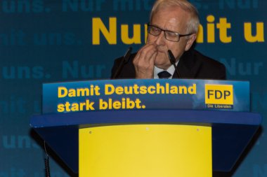 Rainer bruederle, fdp için öncü aday