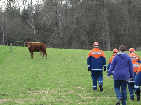 Groupe de personnes sur un terrain — Photo