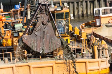 İşte bir istiridye kabuğu