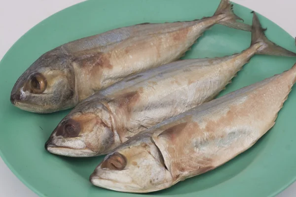 satışları uskumru