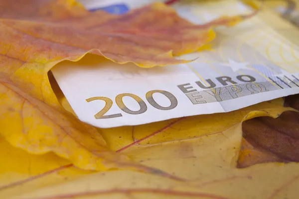 200 euro na jesieni z liści — Zdjęcie stockowe