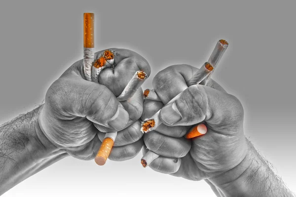 Human hands heatedly breaking cigarettes — Stock Photo, Image