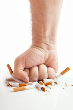 Human fist breaking cigarettes on white background clipart