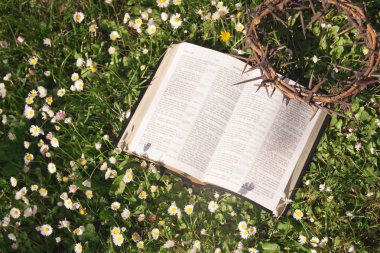 siyah deri İncil ve thorn taç