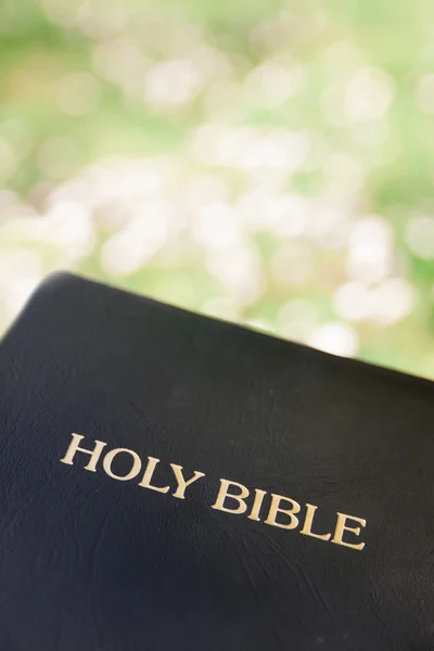 Black leather bible against blurred green grass backgroundHoly b — Stock Photo, Image