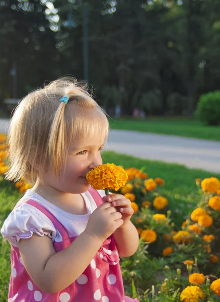 Mignonne petite fille dans un parc — Photo