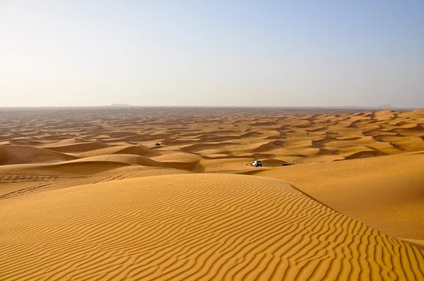 Safari no deserto . — Fotografia de Stock