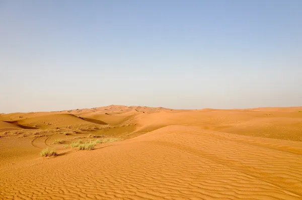 Pohled na pouštní krajiny. — Stock fotografie
