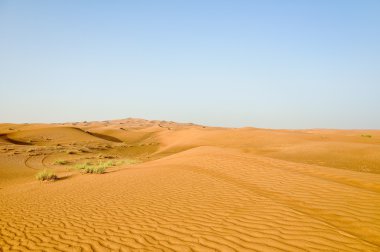Birleşik Arap Emirlikleri, dubai çöl safarisi.