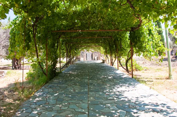 Foot-path in the monastery Thari, Rhodes, Greece. — Stock Photo, Image