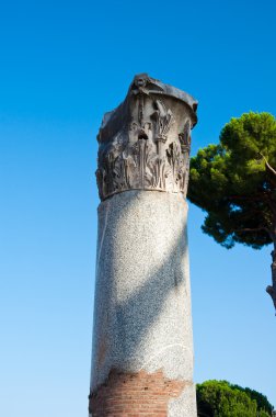 trajan Forumu adresindeki sütun. Roma, İtalya.