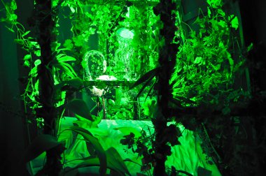 Figueres, İspanya-Ağustos 6: dali tiyatro ve Ağustos 6,2009 Figueres müze iç. Dalí tiyatro ve müze olan bir müze, salvador dali, figueres, Katalonya, İspanya ev kasabasında.