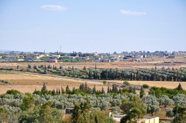 Tunus peyzaj friguia parkının yanında. Hammamet, Tunus.