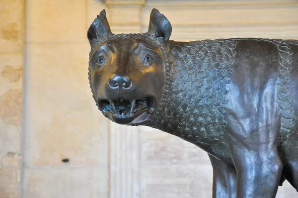 Capitoline kurt. Roma. — Stok fotoğraf