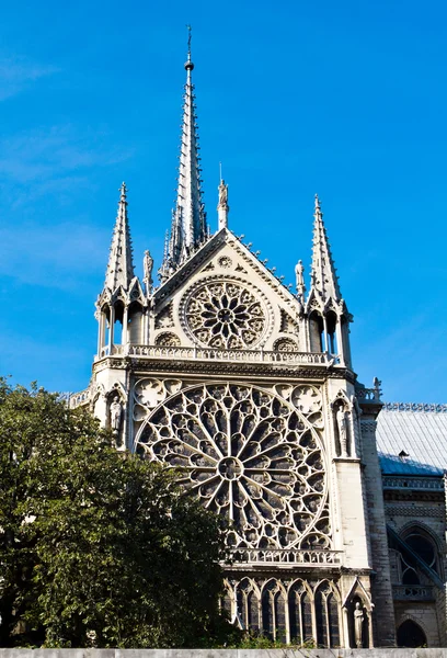 Katedra Notre Dame de Paris, Francja — Zdjęcie stockowe