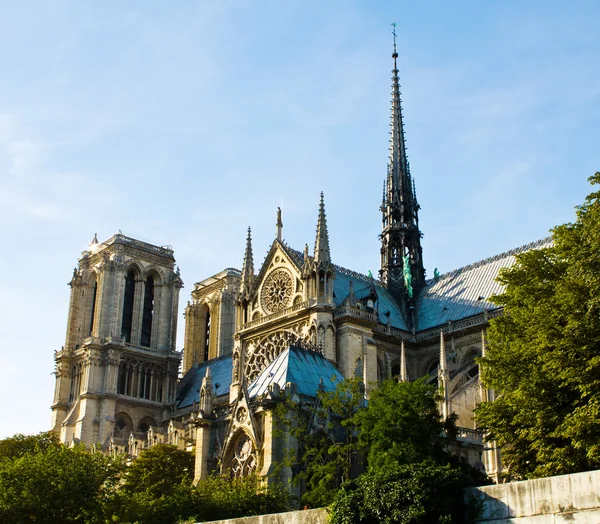 Katedrála Notre Dame de Paris, Francie — Stock fotografie