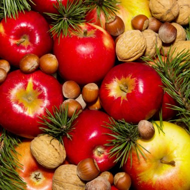 Ladin elma ve fındık dalları