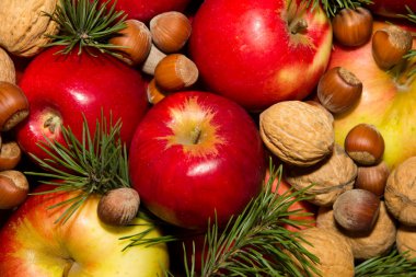 Ladin elma ve fındık dalları