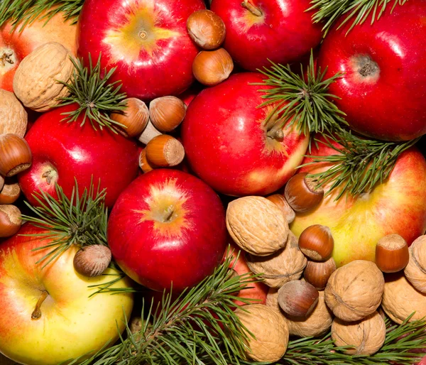 Spruce branches apples and nuts — Stock Photo, Image