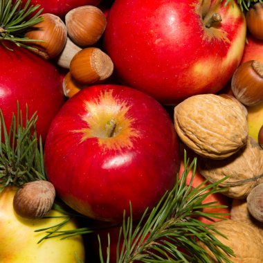 Ladin elma ve fındık dalları