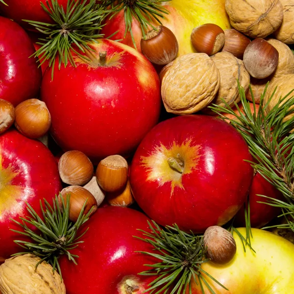 Spruce branches apples and nuts — Stock Photo, Image