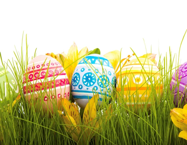 行的复活节彩蛋与新鲜的绿色草地上的雏菊 — 图库照片