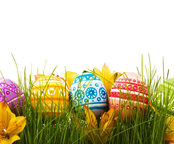 Fila de huevos de Pascua con margarita en hierba verde fresca —  Fotos de Stock