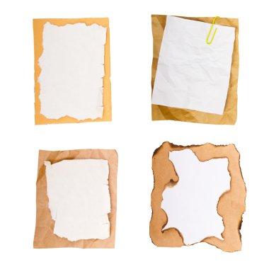 eski kağıt yaprak beyaz zemin üzerine izole