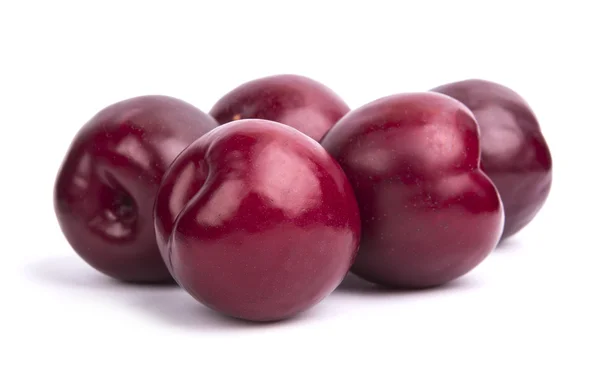 Beyaz arkaplanda kırmızı erik meyvesi izole — Stok fotoğraf