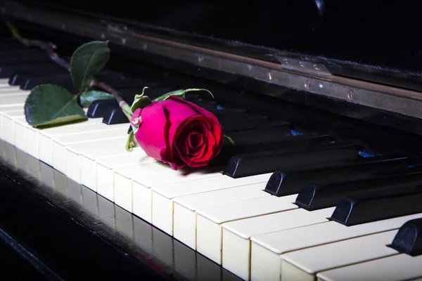 Rose op een piano — Stockfoto