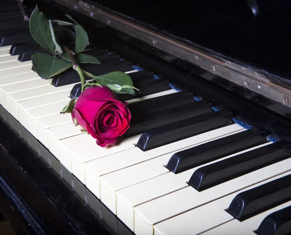 Romantic concept - deep red rose on piano keys — Stock Photo, Image