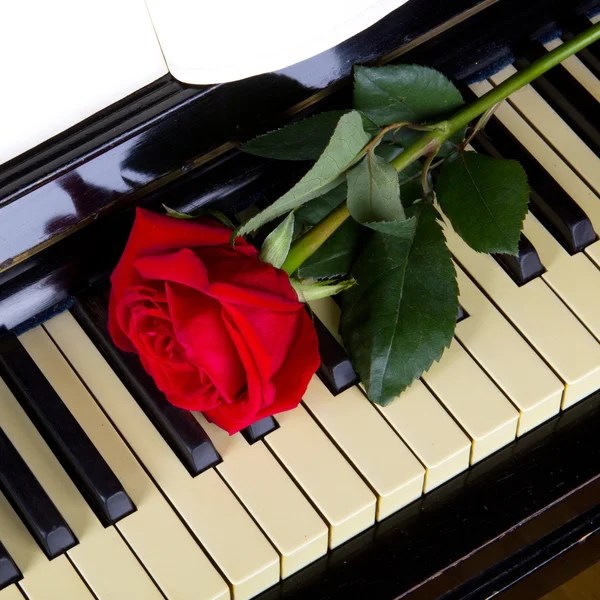 Romantic concept - deep red rose on piano keys — Stock Photo, Image