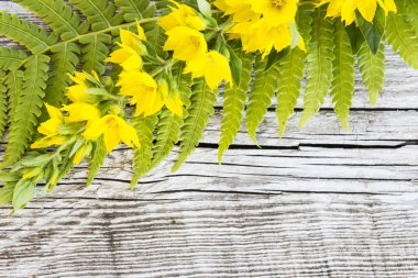 Eski ahşap arka planda yeşil yapraklar