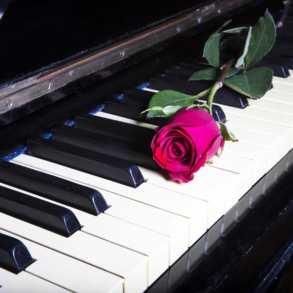 Concepto romántico - rosa de color rojo profundo en las teclas de piano — Foto de Stock