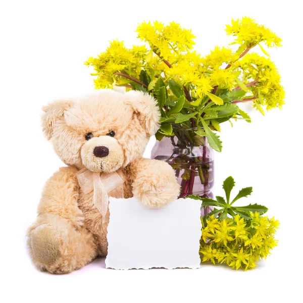 Osito de peluche y flores — Foto de Stock