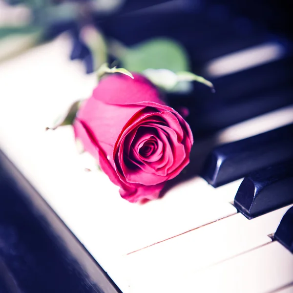 Rose auf einem Klavier lizenzfreie Stockfotos