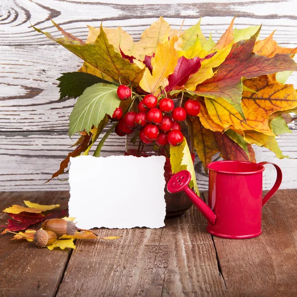 Bouquet of autumn flowers — Stock Photo, Image