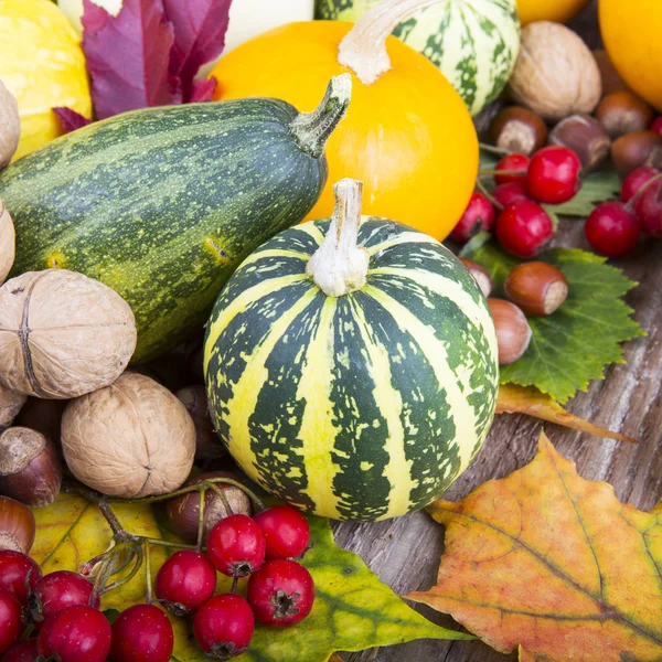 Calabazas surtidas con hojas de otoño sobre mesa de madera — Foto de Stock