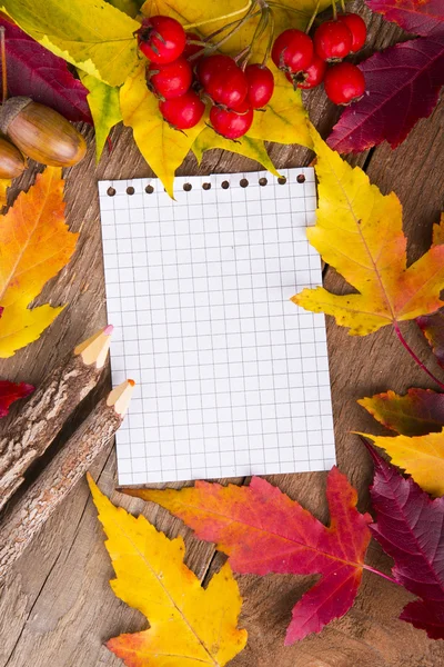 Plantilla colorida de otoño hecha de follaje y el pedazo de blanco —  Fotos de Stock