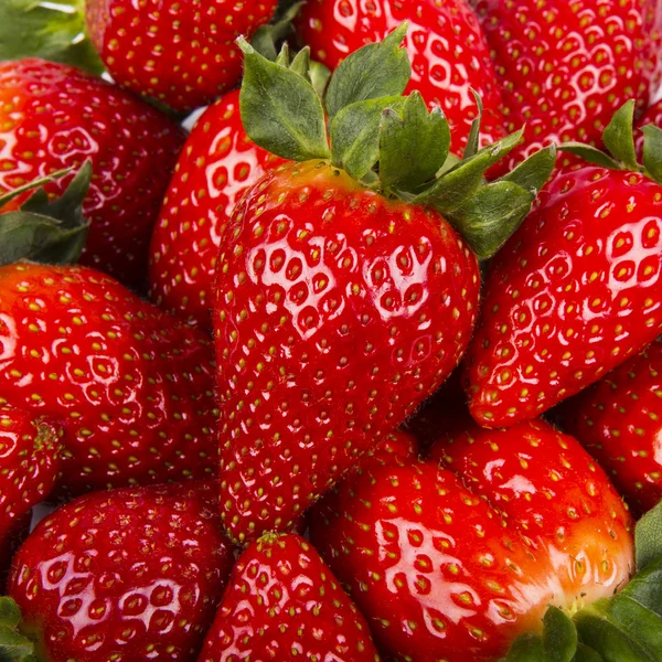 很多红色成熟的草莓。食品背景 — 图库照片